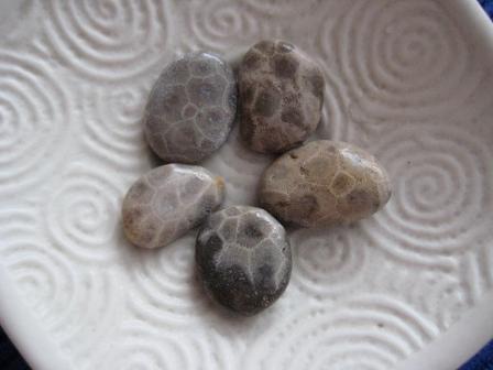 Dish of Petoskey Stones for Mrs. Uhdd