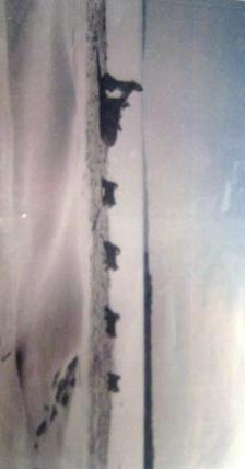 Mush - Daugherty Johnson’s sled dog team