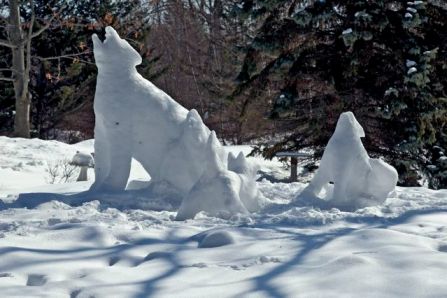 Babs got bears - or maybe wolves