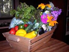 Wagbo bounty August 2002