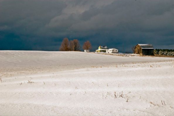 November snow - Essex Road