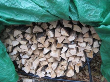 The kindling the elves made