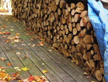 Woodpile in autumn