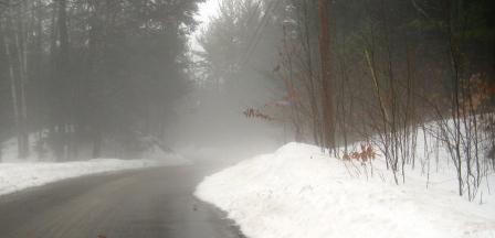 The fog creeps in on little cat feet