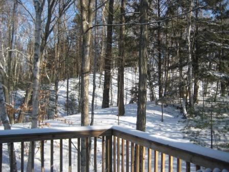 Sun on the drumlins at last