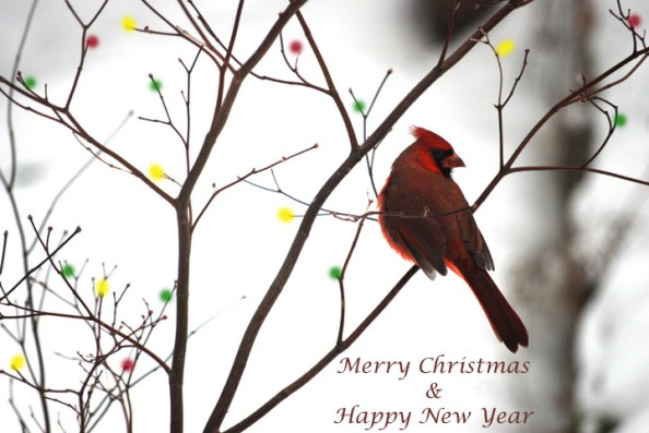 Greetings from Katherine