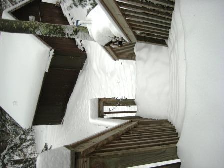 My steps this morning