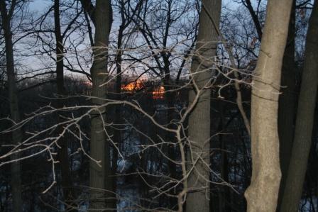 Suburban sunrise with camouflaged deer