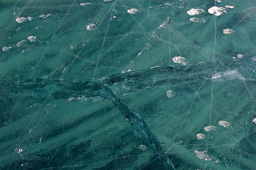 3264528539_18146cb29c