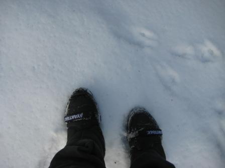 Professional strength YakTrax