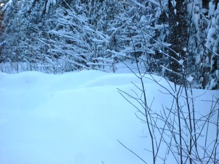 Snowdrift sculptures