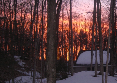 Sunrise in the woods