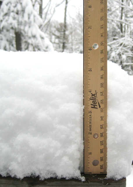 The Measure of Mama Nature's Perfidy The Measure of Mama Nature's Perfidy