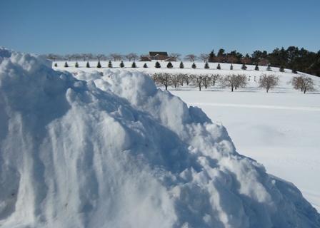 Hills overlooking mountains below
