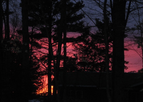 Dying coals of sunset across the road Dying coals of sunset across the road