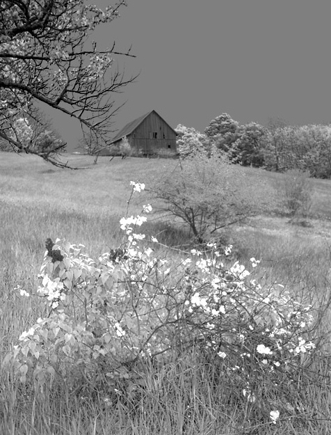 Old Barn, Katherine Berst