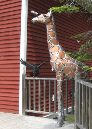 Bill Allen's giraffe and Rod Bearup's raven