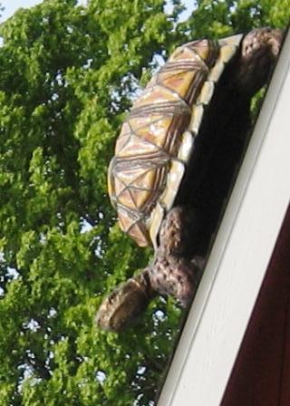 Tortoise by Rod Bearup