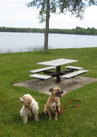 BLA Difference of opinion