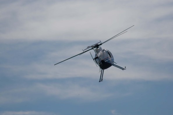 Whirlybird at the Torchport - Donna Lane