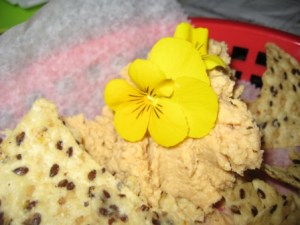 Pansy on hummus