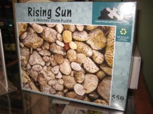 Petoskey Stone Puzzle - Rising Sun