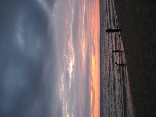 Barnes Park at sunset - mother and children