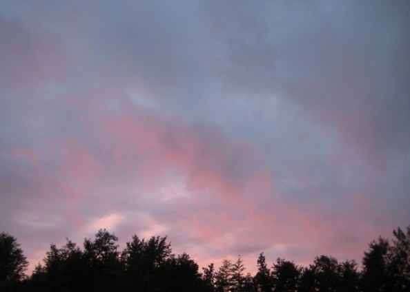 Smoky rose sunset over the trees