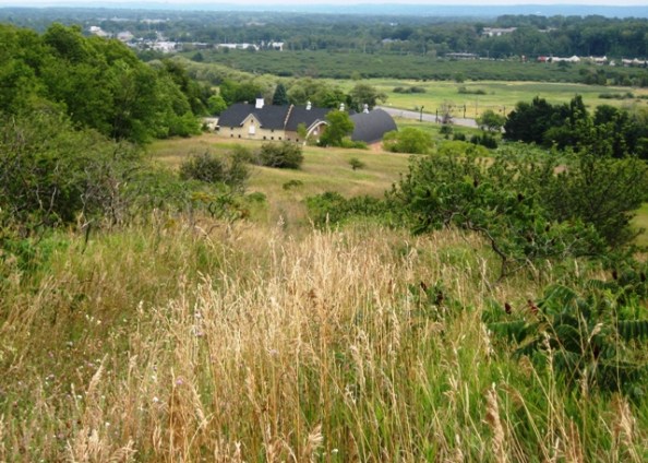 View from the ridge - the old barns