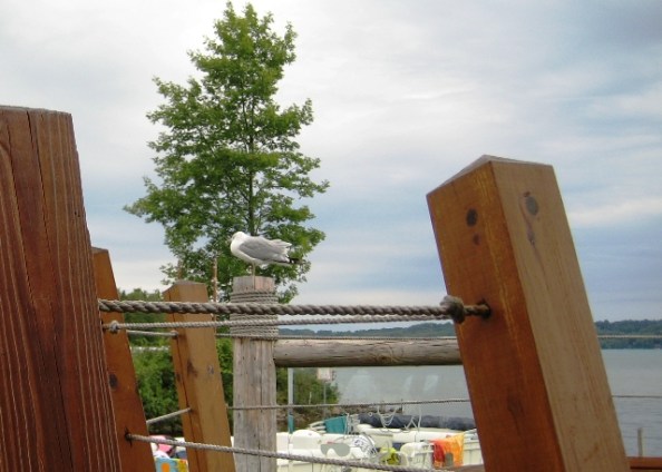 Gray day at the Dockside