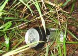 Litter beer can