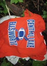 Litter laundry Central Lake Ellsworth