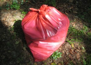 The Orange Bag - OK Red