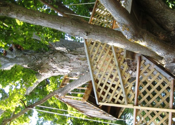 Tree house3