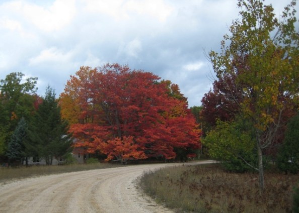 Arrowood curve Arrowood curve