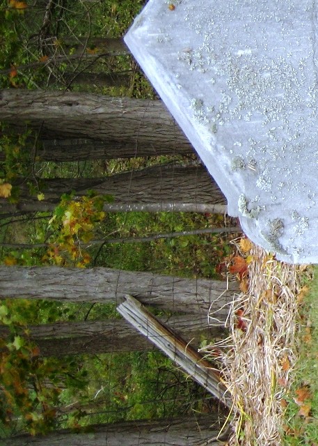 Autumn at Bayview Cemetery Autumn at Bayview Cemetery