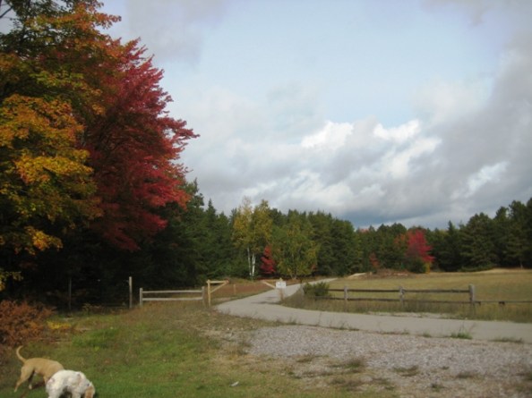 Barnes Park Easy Trail