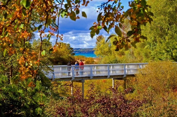Elk Rapids library bridge in autumn