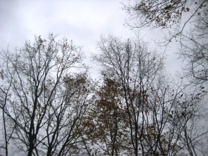 October 31 - 10:00 am - Bare Bones