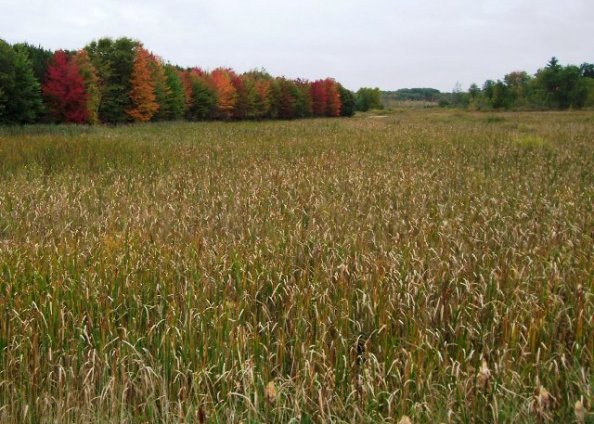 Postcard from Barb Higgins