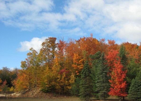 US-31 south of Eastport