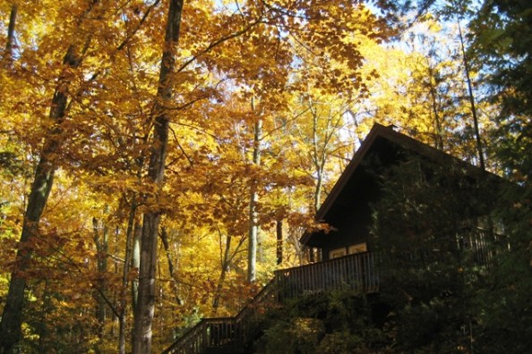 Writing Studio and Bait Shop in Autumn Gold and Bronze and Copper