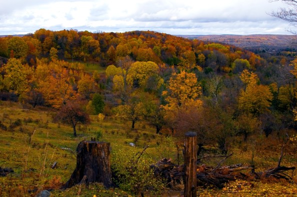 Kidder Road - late October, 2009
