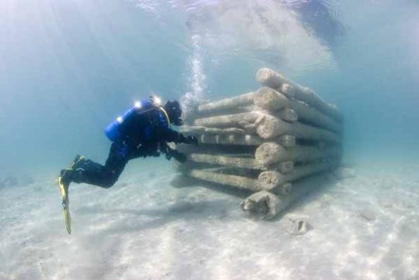 Torch Lake Cribs Diver - (c) Chris Doyal