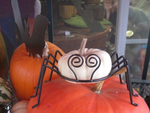 Spider with gourd