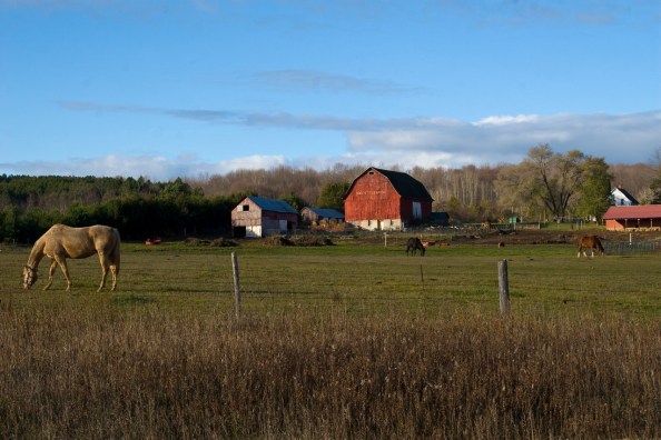 East Jordan farm
