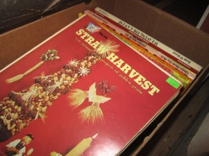 Treasure I was looking for - Straw Harvest