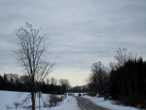 Heavy flight traffic on M-88 runway