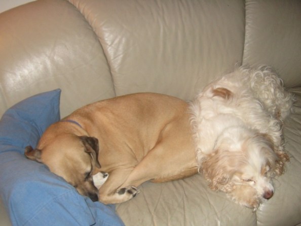 Some days are not made for adventure