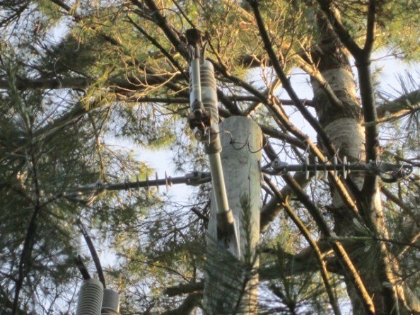 Do you have any idea what this is?